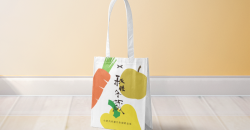 精品購物袋怎么設(shè)計(jì)才能夠獲得好評