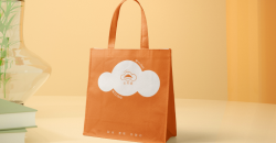 商店無紡布購物袋有哪些質(zhì)量要求