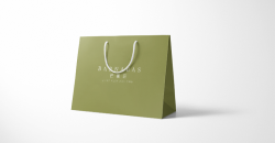 手提袋工廠設(shè)計印刷應(yīng)用案例