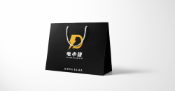 裝飾禮品袋制作廠家設(shè)計(jì)印刷案例