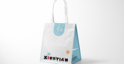 大號禮品袋生產(chǎn)廠家設(shè)計印刷案例