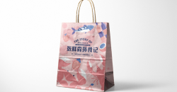 個(gè)性外賣(mài)打包袋工廠設(shè)計(jì)印刷案例