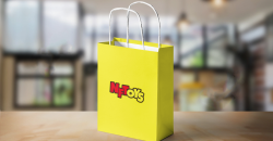 購物手提袋的多元化發(fā)展：集實用、環(huán)保與美觀于一身