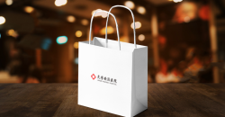 什么材質(zhì)的手提袋收納物品還不錯(cuò)